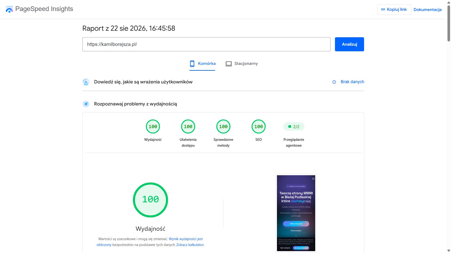 PageSpeed Insights: wynik 100 dla kamilborejsza.pl na mobile
